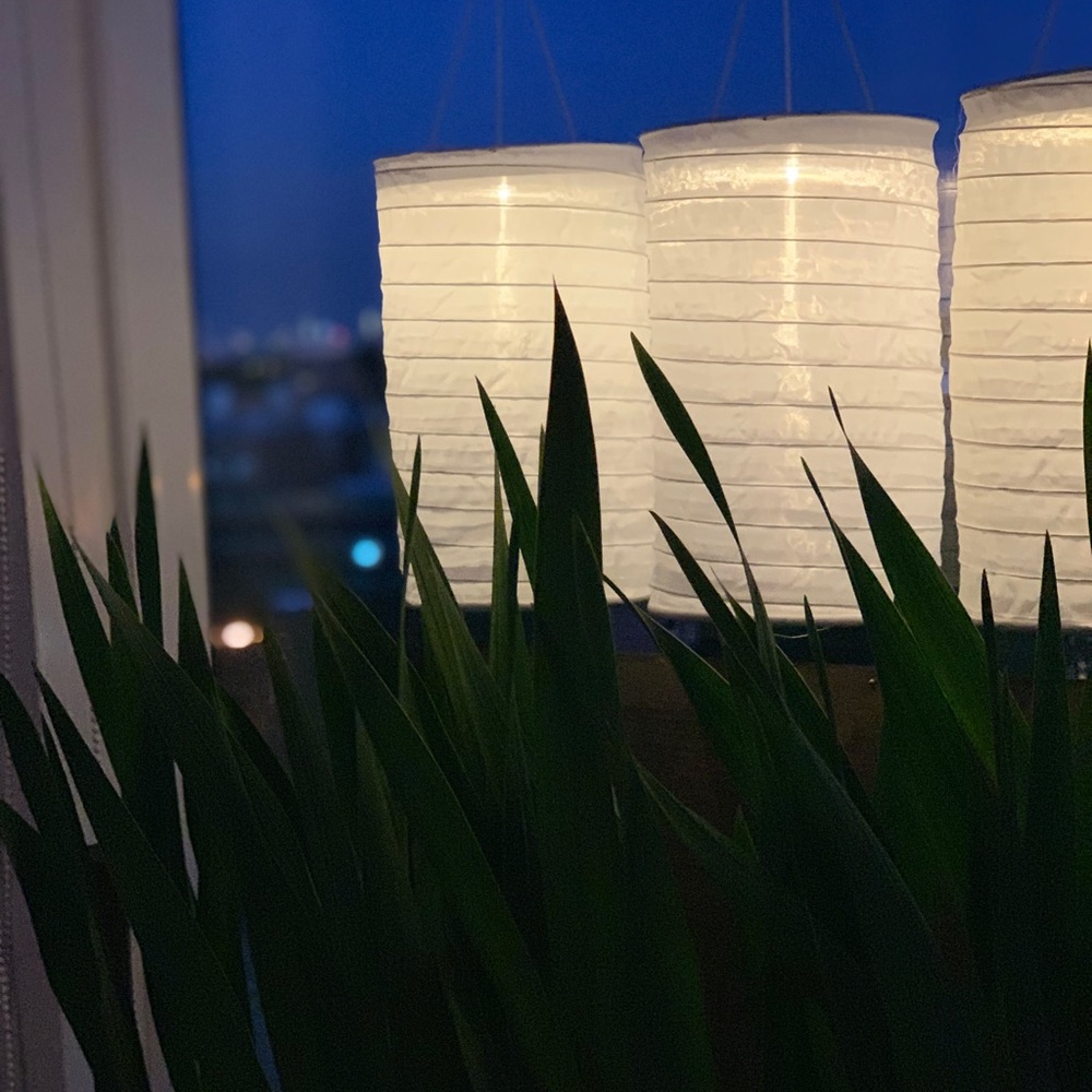 Solar powered lights